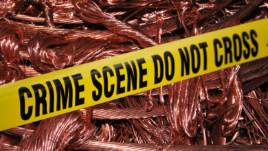 Dombvli Crime News Thief Stolen Copper Wire From Company