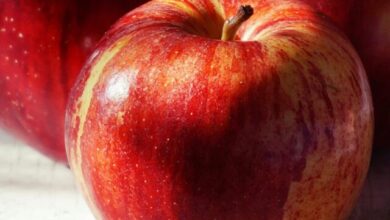 Eating an apple every day could help prevent many diseases for a lifetime. Learn about the benefits of eating apples!