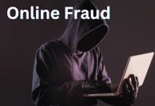 Online Fraud