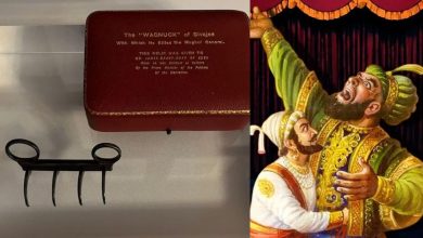 Chhatrapati Shivaji Maharaj Wagh Nakh in Mumbai:  'वाघ नख' 19 जुलैपासून सातारा येथील संग्रहालयात प्रदर्शनासाठी ठेवण्यात येणार आहे. लंडनहून आणलेल्या या शस्त्राला बुलेटप्रूफ कव्हर देण्यात आले आहे.