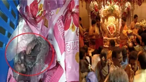 Siddhivinayak Mahaprasad Mouse Video Viral