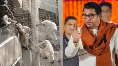 Raj Thackeray on narhari zirwal jump on mantralaya