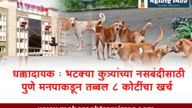 pune corporation news