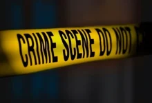 Faizan Shaikh,Bakri Eid stabbing,mobile theft suspicion,Wadala TT Police,Asif Khan,Mohammad Hasnain,attempt to murder,Lokmanya Tilak Hospital,Bharatiya Nyaya Sanhita (BNS)