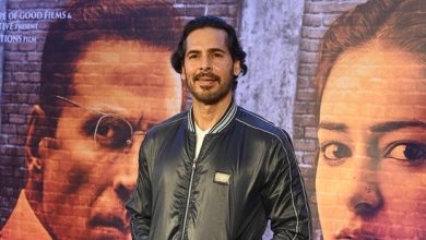Ed raids on Dino Morea: ED's plot 'Mithi' reveals big truth! Raid on Dino Morea's house