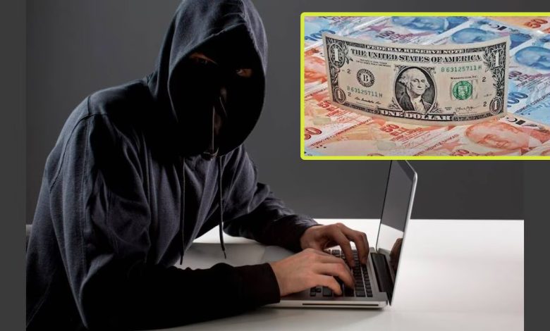 Pune Digital Arrest Hub