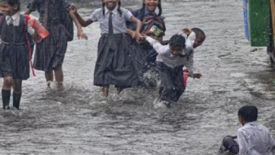 Raigad Rain Update: Heavy rain wreaks havoc in Raigad! River levels above danger level, schools closed