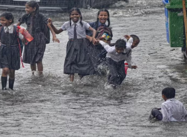 Raigad Rain Update: Heavy rain wreaks havoc in Raigad! River levels above danger level, schools closed