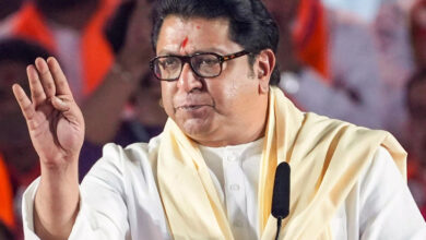 कावळ्याच्या शापाने गाय मरत नसते’; राज ठाकरेंच्या विधानाचा रोख कुणाकडे?